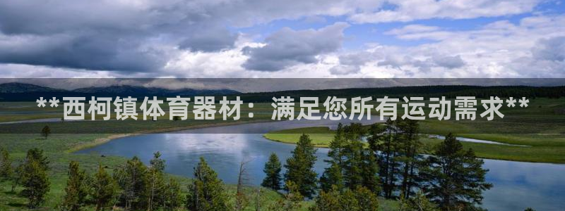 极悦平台官网下载中心网址：**西柯镇体育器材：满足您