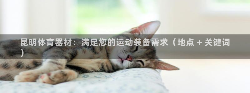 极悦平台注册失败如何解决：昆明体育器材：满足您的运动