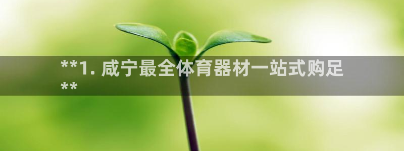 极悦娱乐现在叫什么：**1. 咸宁最全体育器材一站式