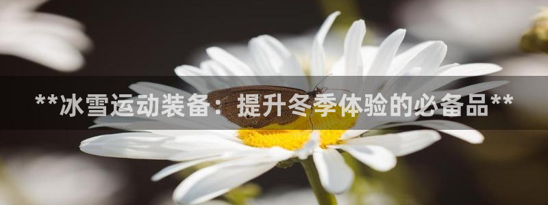极悦平台官方网站下载：**冰雪运动装备：提升冬季体验