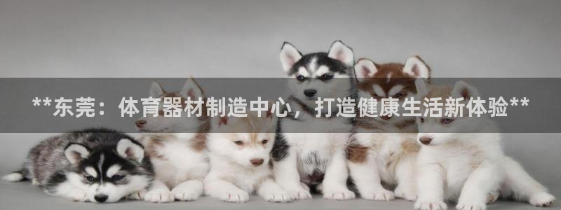 极悦平台是正规平台吗安全吗：**东莞：体育器材制造中