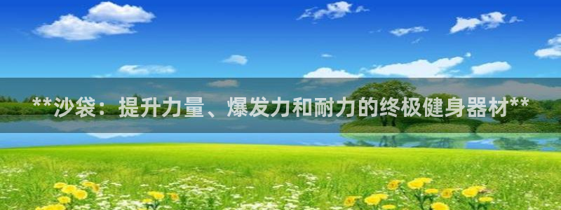 极悦平台注册流程图：**沙袋：提升力量、爆发力和耐力