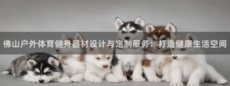 极悦平台和蓝狮平台区别：佛山户外体育健身器材设计与定
