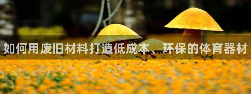 极悦平台是干什么的啊：如何用废旧材料打造低成本、环保的体育器