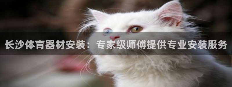 极悦平台代理怎么赚钱的：长沙体育器材安装：专家级师傅