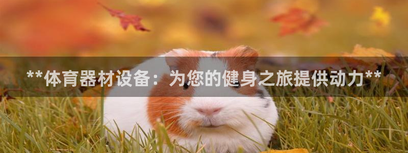 极悦平台官方网站首页登录：**体育器材设备：为您的健