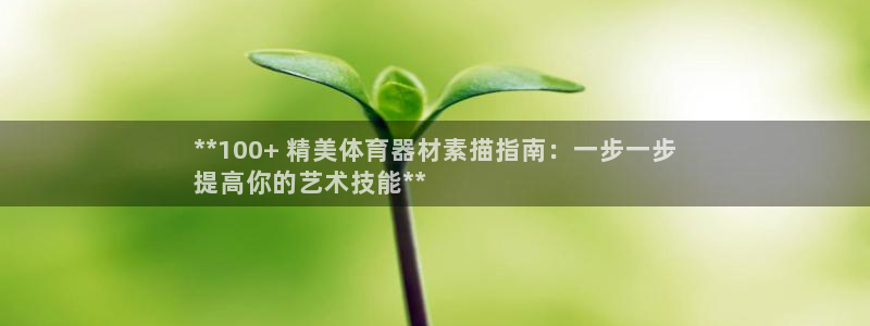 极悦娱乐游戏安全吗：**100+ 精美体育器材素描指
