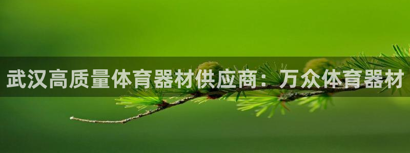 极悦娱乐官方网站入口：武汉高质量体育器材供应商：万众体育器材