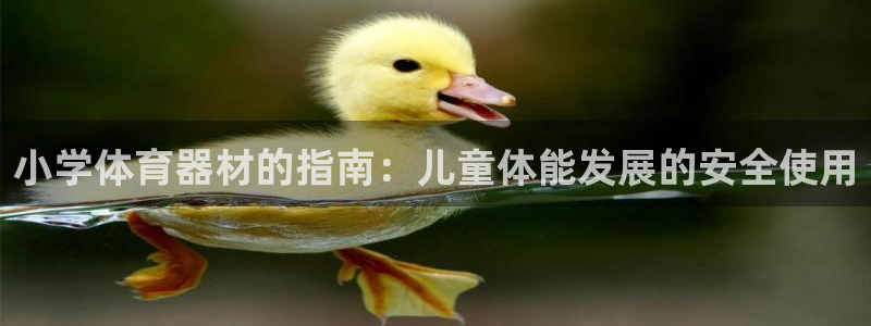 极悦平台客服投诉电话是多少号码：小学体育器材的指南：儿童体能