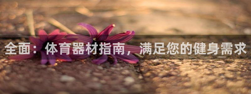 极悦娱乐官网最新版本更新内容视频：全面：体育器材指南，满足您