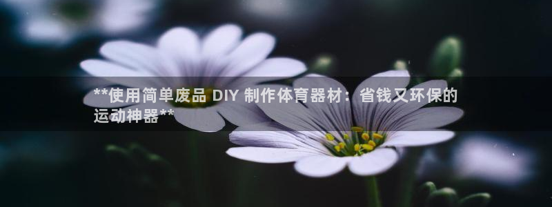 极悦平台官方网站下载安卓：**使用简单废品 DIY 