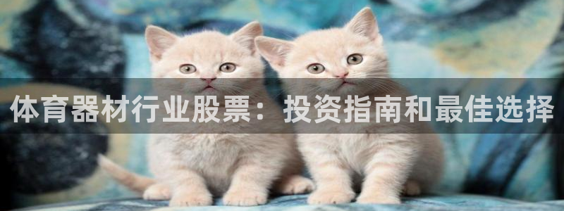 极悦平台官网下载中心网址：体育器材行业股票：投资指南和最佳选