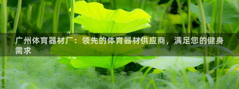 极悦娱乐官网入口网址：广州体育器材厂：领先的体育器材供应商，