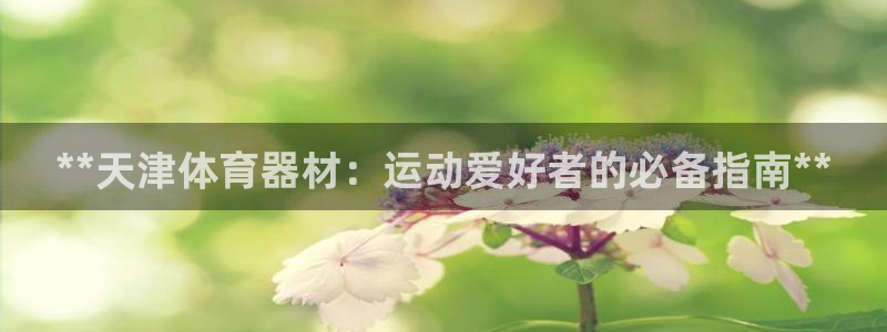 极悦平台注册用户名验证码是什么：**天津体育器材：运