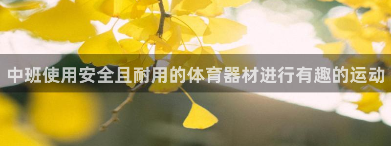 极悦娱乐app官方版本更新内容是什么：中班使用安全且