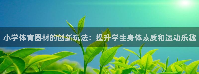 极悦平台用户评价：小学体育器材的创新玩法：提升学生身体素质和