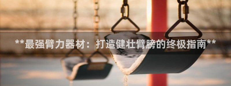 极悦平台布7O777：**最强臂力器材：打造健壮臂膀的终极指