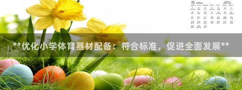极悦平台安全吗：**优化小学体育器材配备：符合标准，