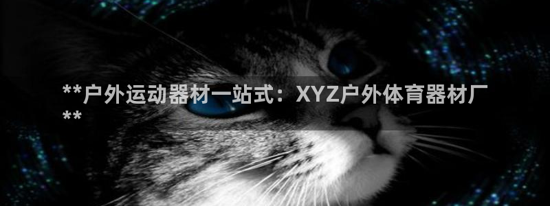 极悦平台网址皮皮虾：**户外运动器材一站式：XYZ户