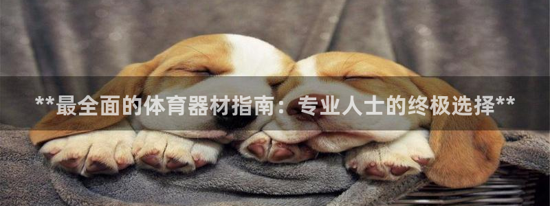 极悦官网入口登录：**最全面的体育器材指南：专业人士