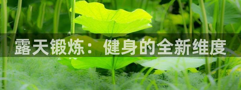 极悦平台注册和登录页面：露天锻炼：健身的全新维度