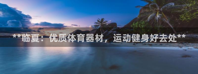 极悦平台代理怎么做赚钱：**临夏：优质体育器材，运动