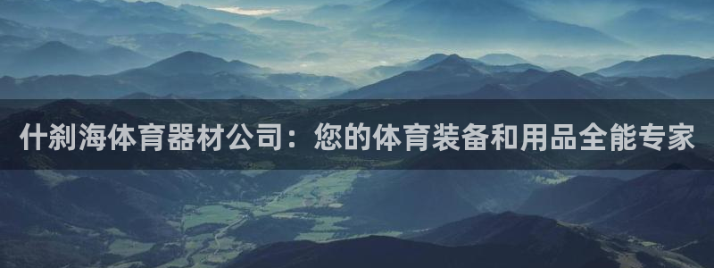 极悦平台注册申请流程详解：什刹海体育器材公司：您的体