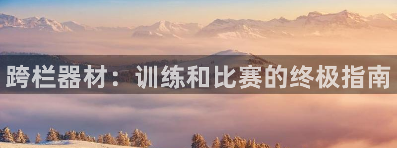 极悦平台代理怎么赚钱的：跨栏器材：训练和比赛的终极指