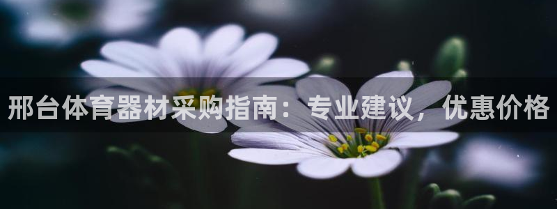 极悦平台注册登录入口网址：邢台体育器材采购指南：专业