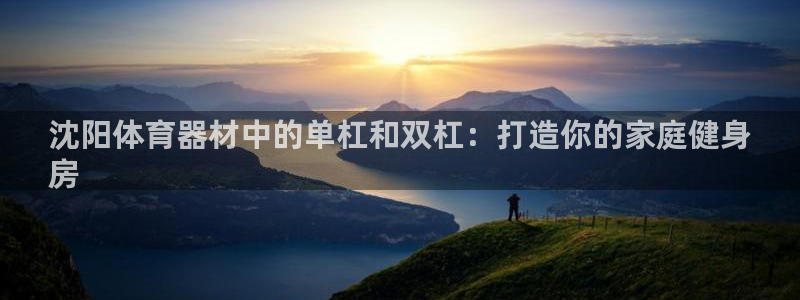 极悦娱乐挂机赚钱是真的吗：沈阳体育器材中的单杠和双杠