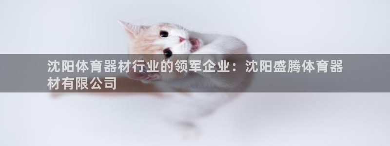 极悦牙膏怎么样好用吗：沈阳体育器材行业的领军企业：沈