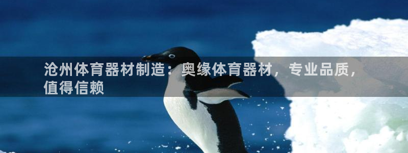极悦平台官方网站入口：沧州体育器材制造：奥缘体育器材