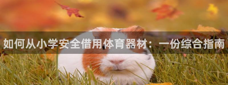 极悦平台创始人背景故事视频：如何从小学安全借用体育器材：一份