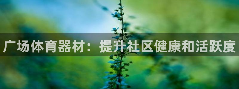 极悦娱乐百科百度：广场体育器材：提升社区健康和活跃度