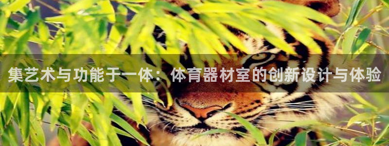极悦官网注册最新版本更新内容