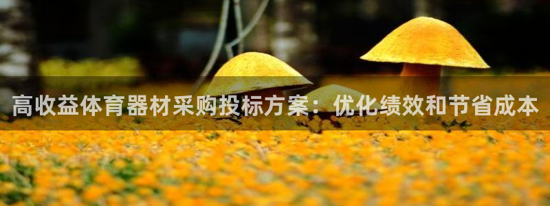 极悦平台注册用户名生成器：高收益体育器材采购投标方案：优化绩