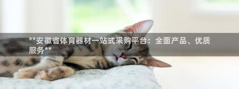 极悦平台是干什么的