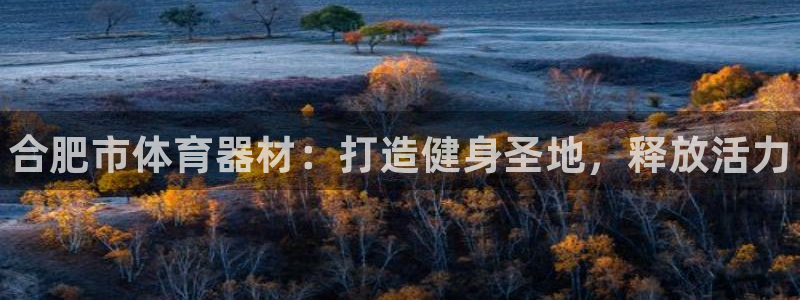 极悦平台有风险吗知乎：合肥市体育器材：打造健身圣地，释放活力