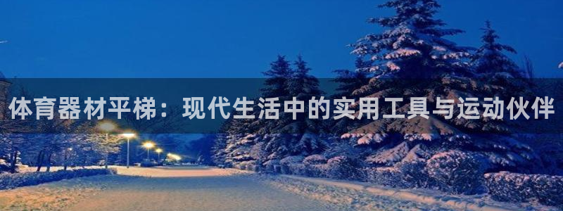 深圳极悦文化传媒有限公司:体育器材平梯:现代生活中的实用工具