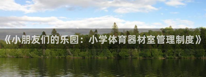极悦平台安全吗是真的吗：《小朋友们的乐园：小学体育器材室管理