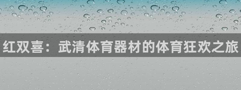极悦平台官网登录网址是多少：红双喜：武清体育器材的体育狂欢之