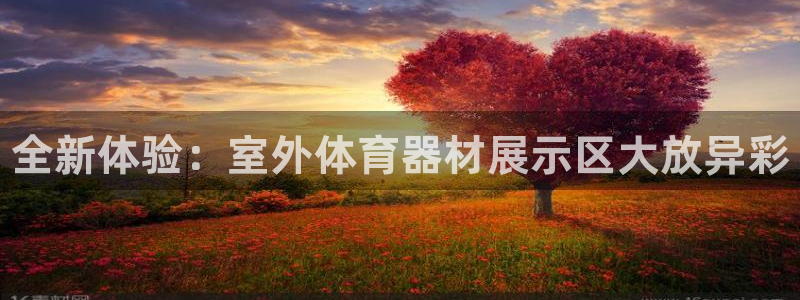 极悦平台代理怎么赚钱的：全新体验：室外体育器材展示区大放异彩