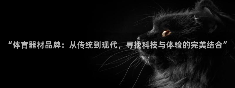 极悦官网注册最新版本更新内容是什么：“体育器材品牌：从传统到