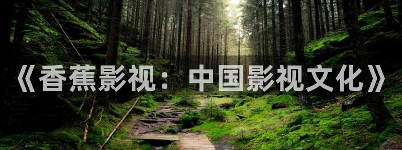 高清蓝光电影下载：《香蕉影视：中国影视文化》