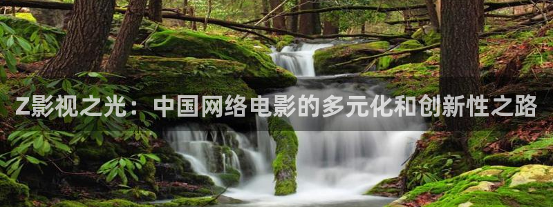 蓝光闪过之后电影简介：Z影视之光：中国网络电影的多元化和创新性之路