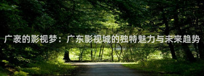蓝光影片播放器：广袤的影视梦：广东影视城的独特魅力与未来趋势
