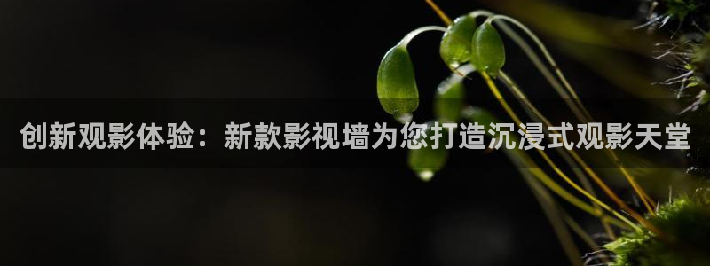 蓝光观影：创新观影体验：新款影视墙为您打造沉浸式观影天堂
