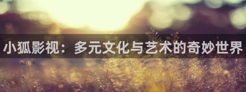蓝光完整版电影：小狐影视：多元文化与艺术的奇妙世界