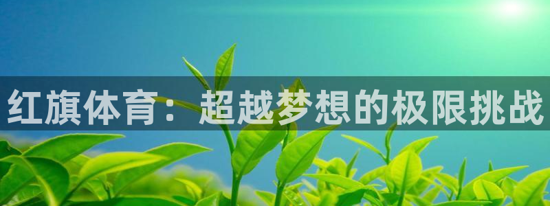 极悦官方网站