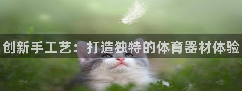 极悦平台和蓝狮平台区别是什么